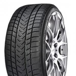 Gripmax Pro Winter 255/40R20 101V XL Kitkarenkaat